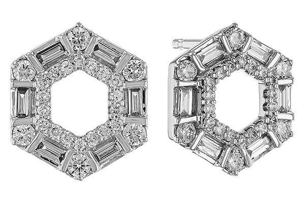 K329-10575: EARR .20 TW BAG .65 TGW