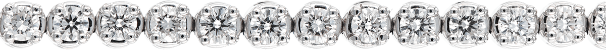 L242-78748_W_SL.png